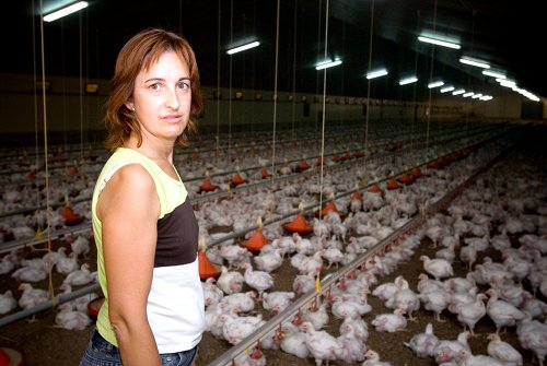 Concepci Anton en su granja avcola donde cra 40.000 pollos de engorde. Foto: JARC
