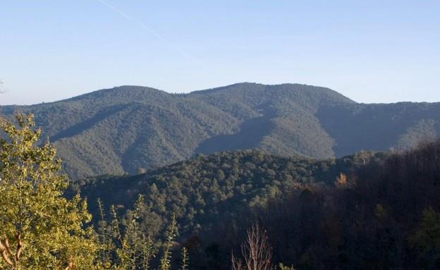 El Parque Natural del Montnegre