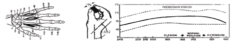Fig.1 La mano humana: a) estructura sea; b) efecto de la orientacin de la mueca en la fuerza de agarre, [2]