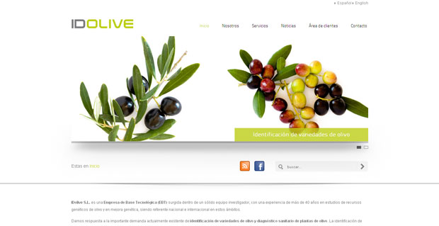Foto de Una EBT cordobesa ofrece un servicio pionero en identificacin varietal en olivo