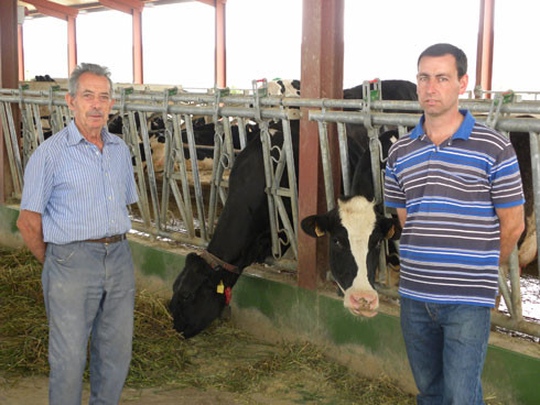 Josep Bages (izq.) y Pere Formatg (dcha.), posan en la granja junto a dos de las vacas de la explotacin