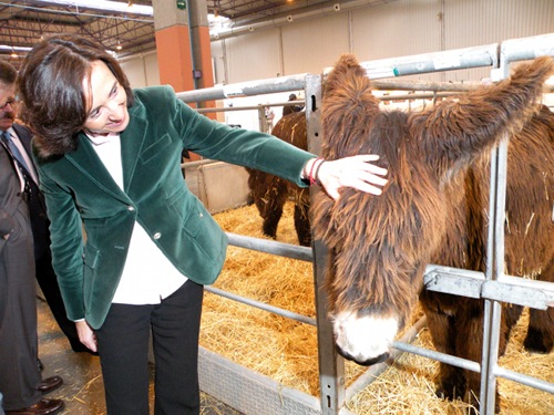 En la imagen, la ministra de Medio Ambiente y Medio Rural y Marino, Rosa Aguilar, durante la inauguracin de la feria ganadera...