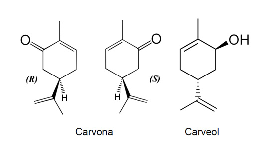Figure 6. Formulas of carvona and carveol, sustainable reaction products, given the development of catalysts and process of starting materials...