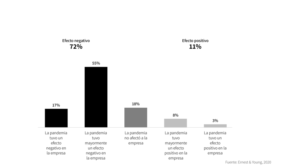 El informe analiza tambin el efecto que la pandemia por covid-19 tuvo en las empresas