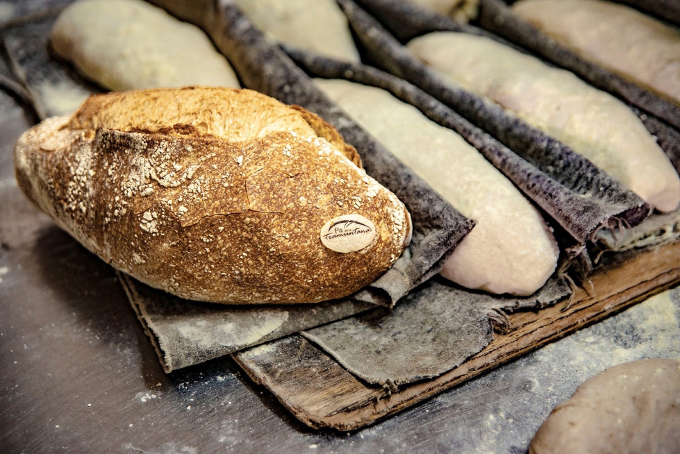 El 'Pan de la Tramuntana' se elabora con harina de trigo cultivado en diferentes comarcas de la provincia de Girona...