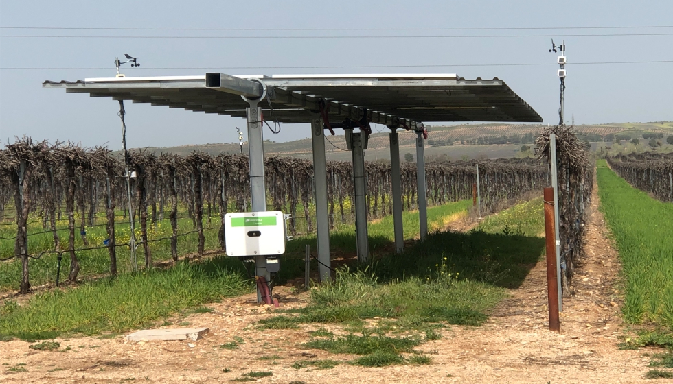 Proyecto Agrovoltaica WineSolar, en los viedos de Gonzlez Byass, ubicado en la localidad toledana de Guadamur