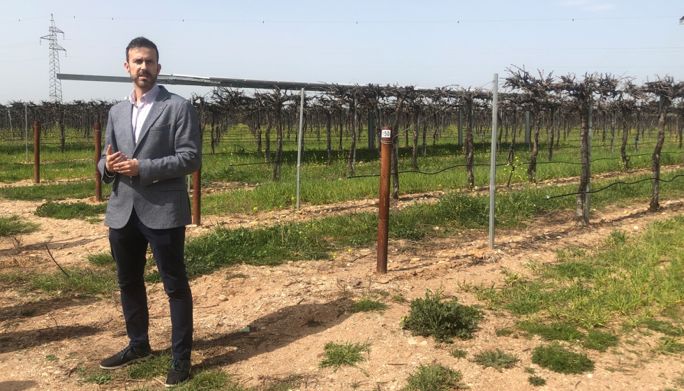 Miguel Tejerina explic el proyecto agrovoltaico Wine Solar en los propios viedos