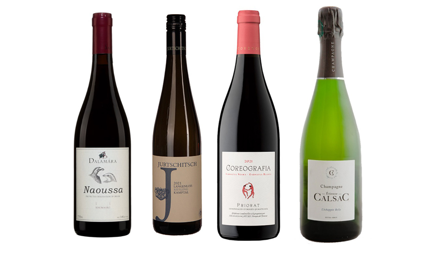 Vinos recomendados por lvaro Ribalta, todos disponibles en Massal Selection