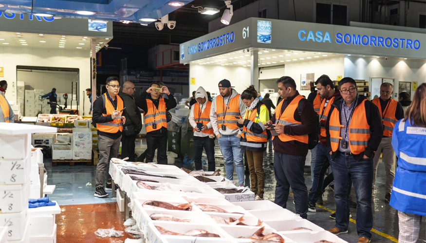 El Mercado de Pescados de Mercamadrid es mercado lder en Europa de la comercializacin de productos de la pesca y de la acuicultura...