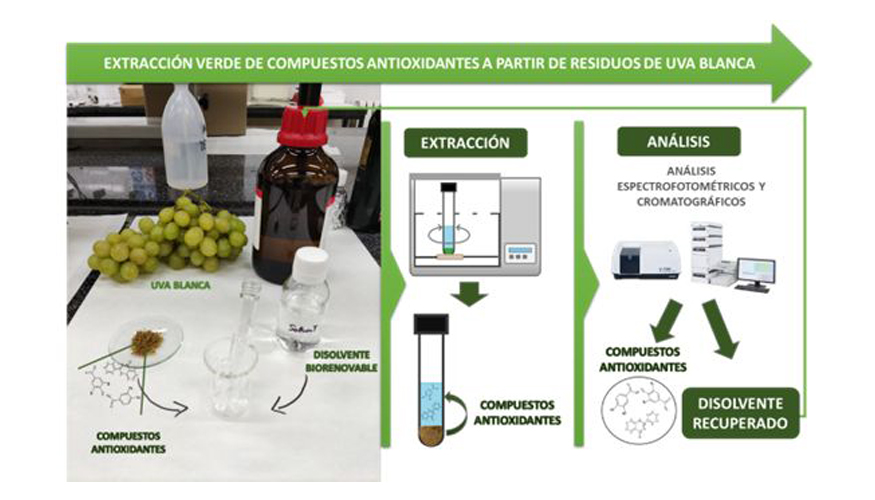 Esquema general del proceso de recuperacin de compuestos antioxidantes del bagazo de uva blanca mediante el uso de disolventes renovables...