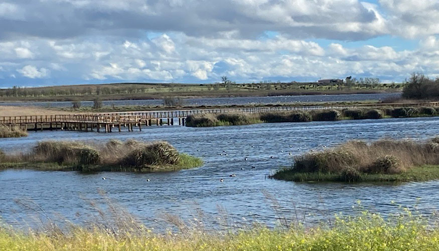 Zona de visitantes en Las Tablas de Daimiel en marzo de 2024. Autor: A. Carretero-SEO/BirdLife