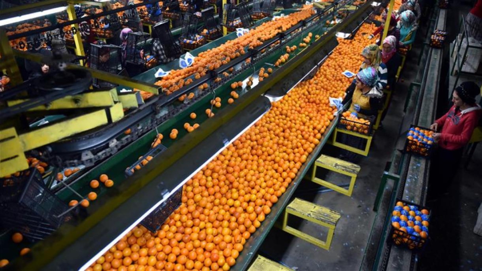 La organizaci�n agraria pide aumentar hasta el 50% los controles a pa�ses con un elevado n�mero de alertas para dar mayor seguridad alimentaria a los...