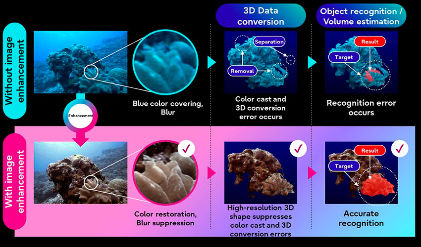 Figura 2. Datos de forma 3D precisos de arrecifes de coral utilizando la tecnologa de mejora de imagen AI