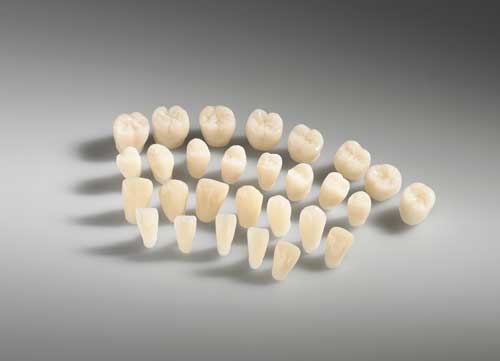 144 diferentes dientes de PMMA para prtesis