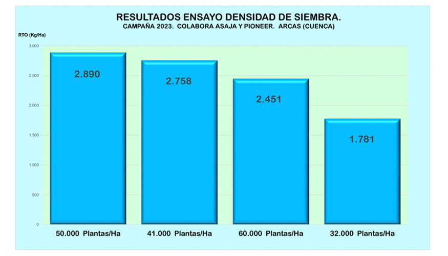 Grfico 5. Resultados del ensayo de densidad de siembra en la finca colaboradora de Arcas (Cuenca). Campaa 2023