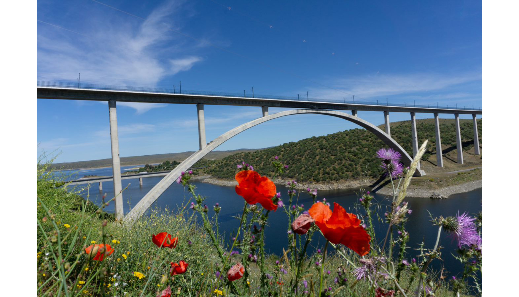 Viaducto sobre el ro Almonte (Cceres), de la lnea de Alta Velocidad Madrid-Extremadura