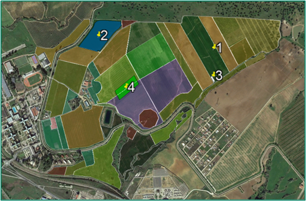 Figura 3. Emplazamiento de ensayos demostrativos en la finca piloto 'Rabanales'