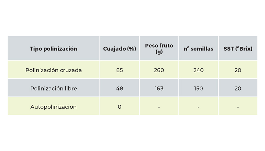 Cuadro 1. Efecto del tipo de polinizacin sobre el cuajado y calidad del fruto de maracuy dulce (P. alata)