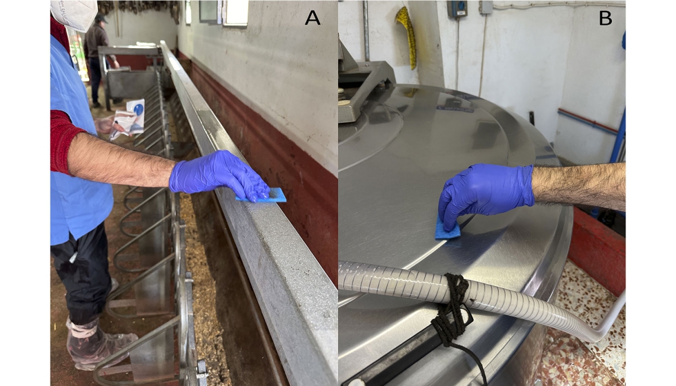 Figura 1. Muestreo ambiental sobre la superficie la sala de orde�o (A) y tanque de leche (B) con esponjas h�medas