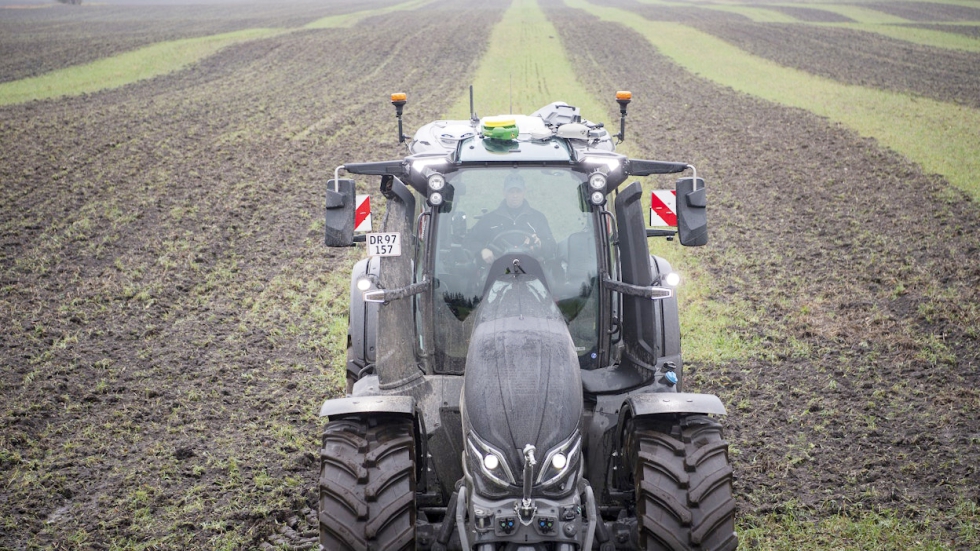 O estudo de campo foi realizado na Dinamarca na primavera de 2023