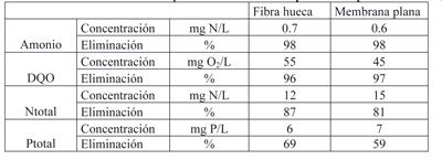 Tabla 3: Valores medios de salida y eliminacin durante el periodo de operacin estable (25/06-23/12)