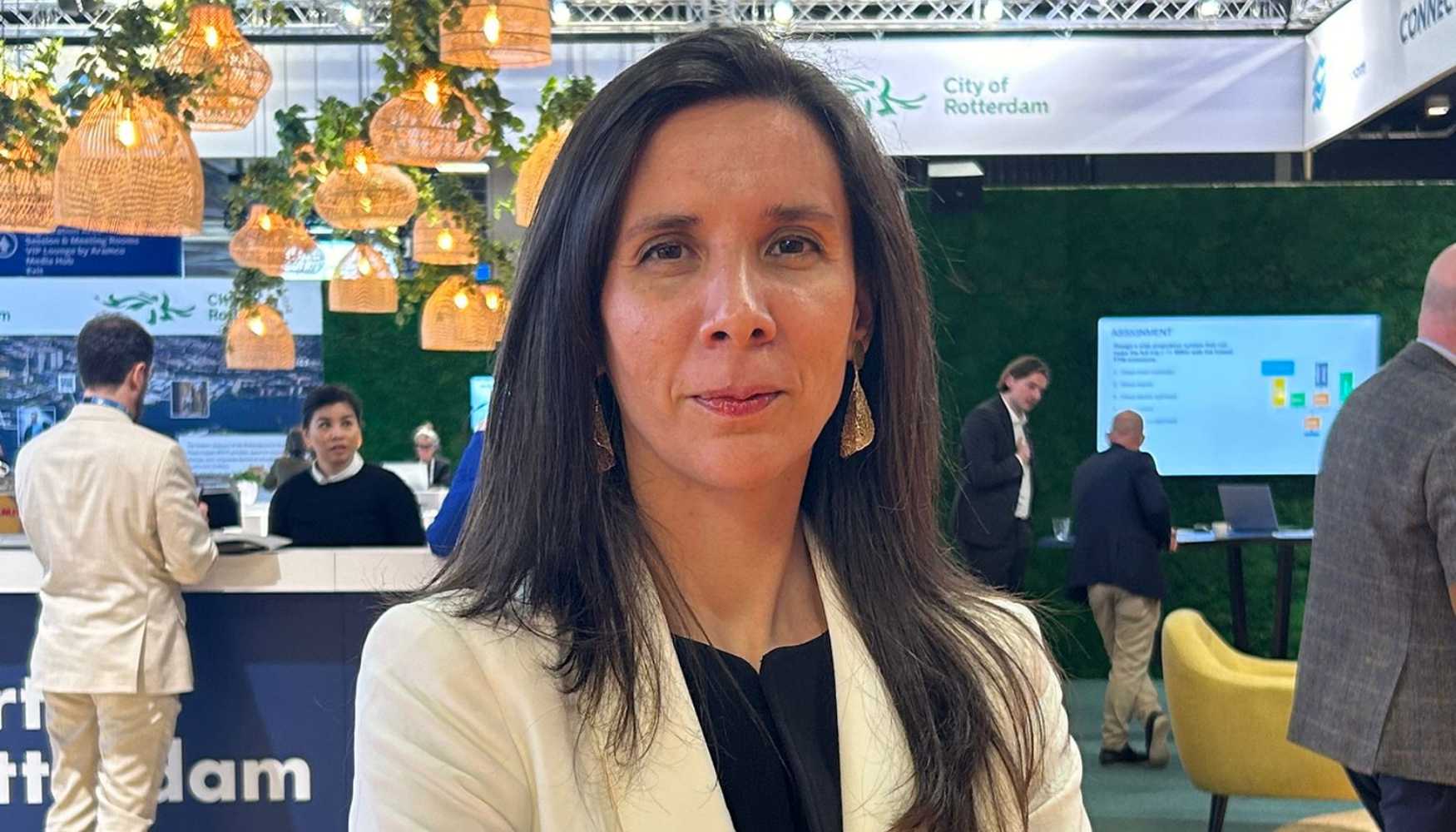 Ana Lus de Sousa  a nova secretria executiva da APE