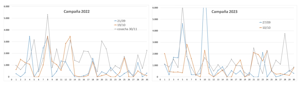 Grfico 1. Contenido en micotoxinas DON en las tres recolecciones