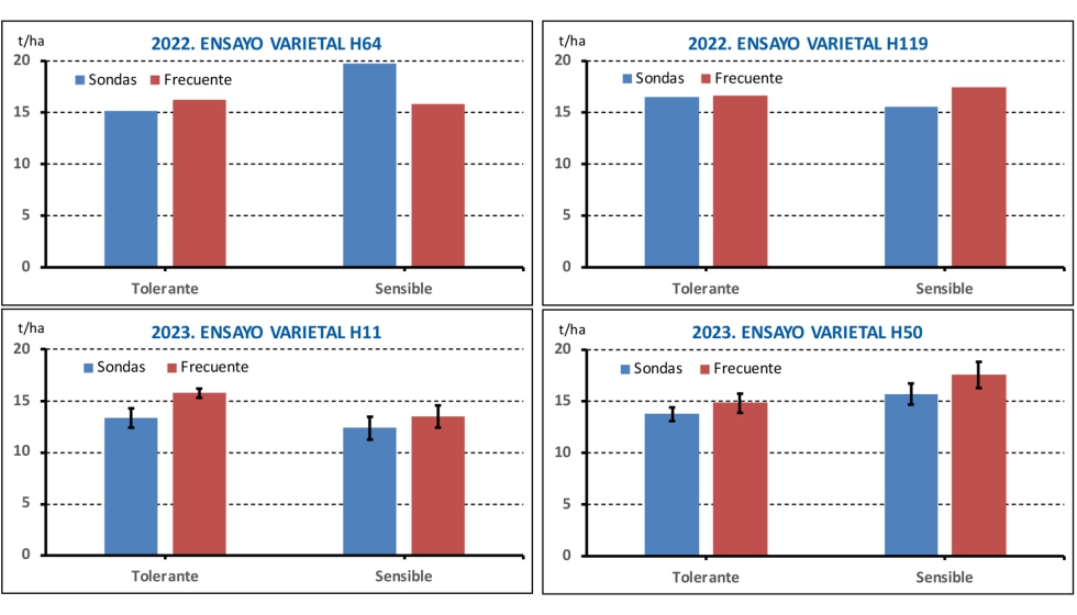 Grfico 5. Rendimiento en grano al 14% de humedad