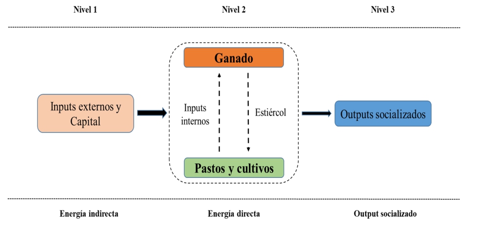 Figura 1. Diferentes niveles del an�lisis energ�tico en las ganader�as de caprino