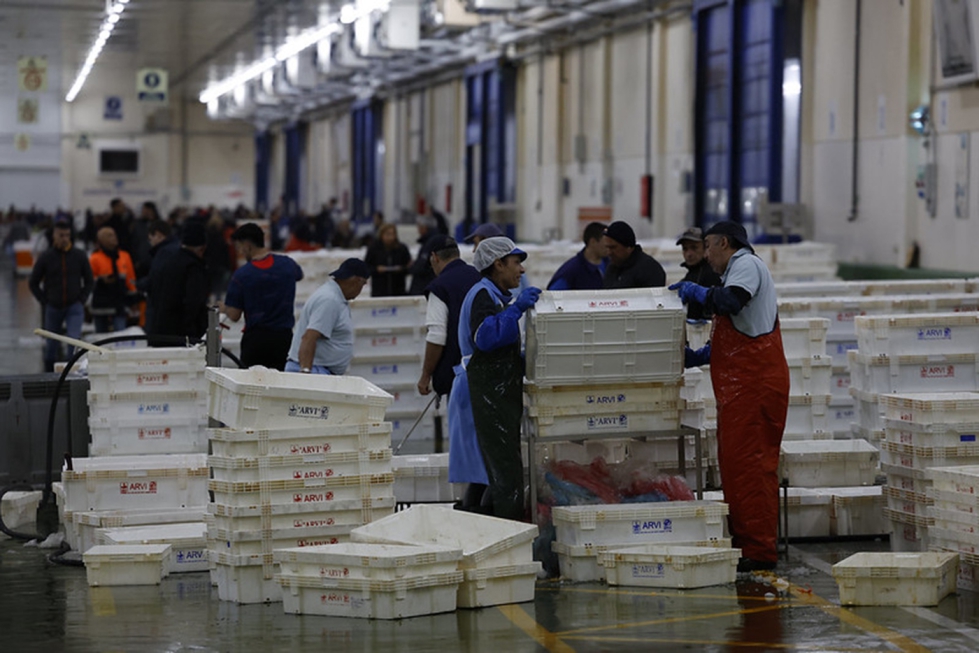 Foto de El Ministerio de Agricultura, Pesca y Alimentacin abre consulta pblica para la convocatoria de ayudas a la industria pesquera dentro del PRTR