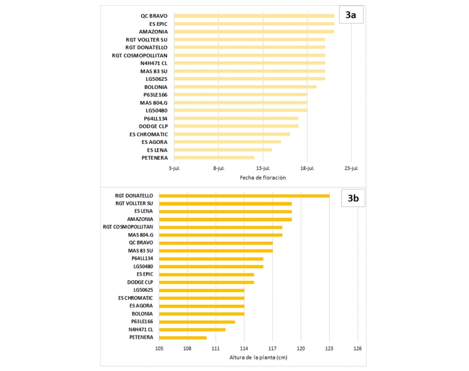 Figura 3. Fecha floracin (3a) y altura de planta (3b) de las variedades de girasol, ensayadas durante la campaa 2023, en el marco de la red GENVCE...
