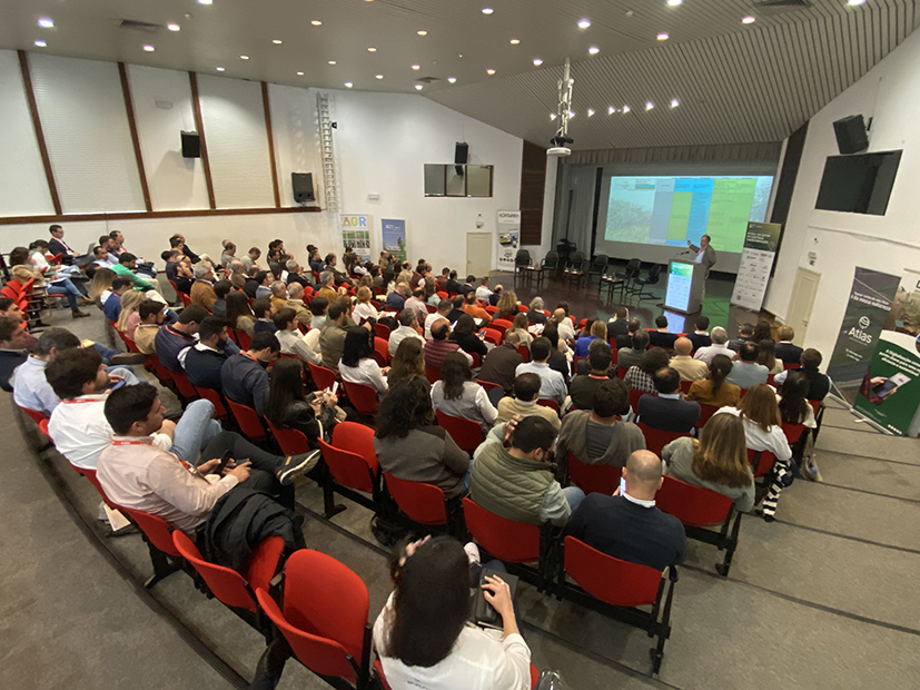 Foto de Especialistas do setor olivcola debatem futuro sustentvel e inovador