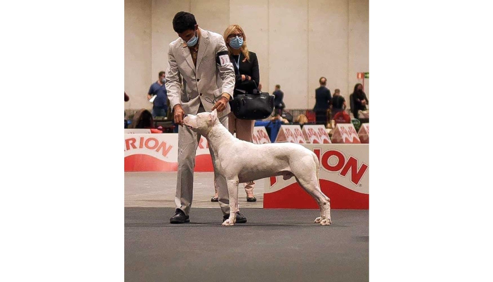 Foto de Entrevista a Alberto Sanz, adiestrador y handler canino