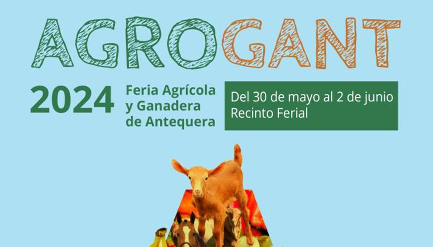 Foto de Ms de 170 animales de raza caprina Malaguea se darn cita en Agrogant 2024