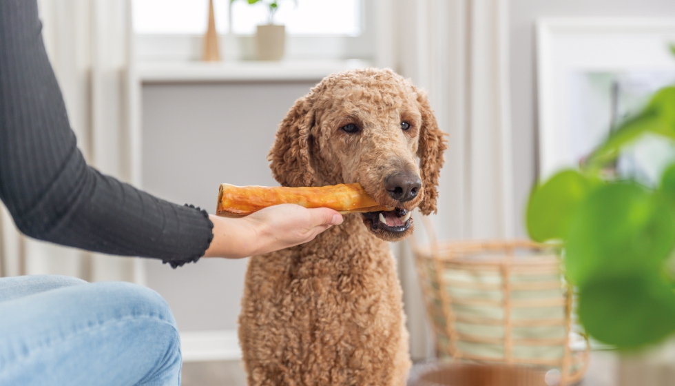 Los snacks de premio provistos de colgeno aportan una mejora a la salud de huesos, cartlagos y articulaciones de los perros...