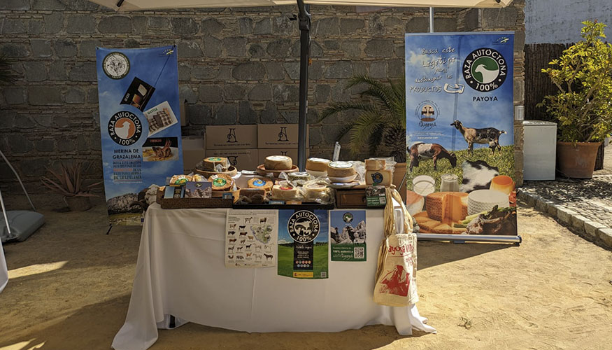 Stand de la raza Payoya en Vinoble Jerez