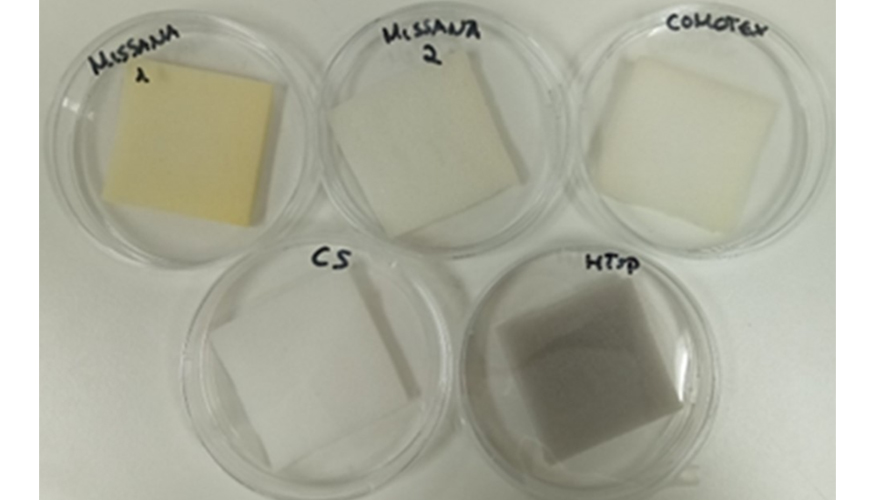 Ensayos de biodegradacin con los microorganismos seleccionados, sobre muestras de empresas colaboradoras