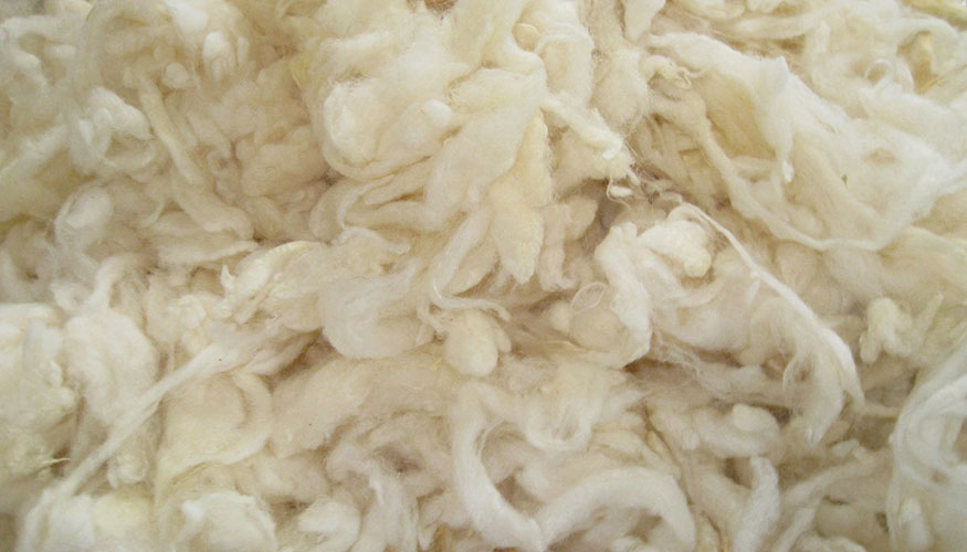 Foto de El cierre de China a la lana espaola lleva a acumular toneladas sin destino fijo