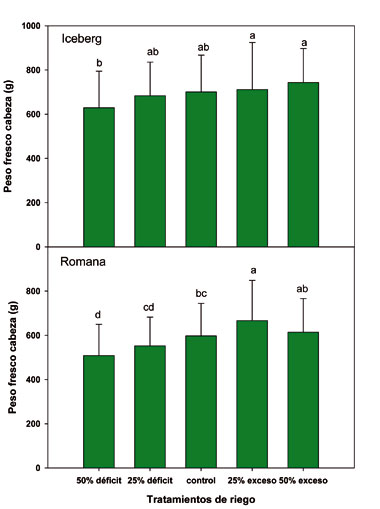 Figura 1: Peso de las cabezas de lechuga iceberg y romana cultivadas con distintos tratamientos de riego...