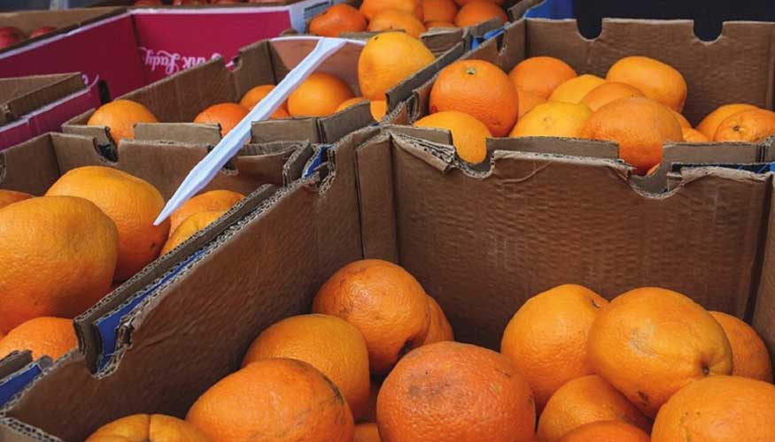 Naranjas importadas