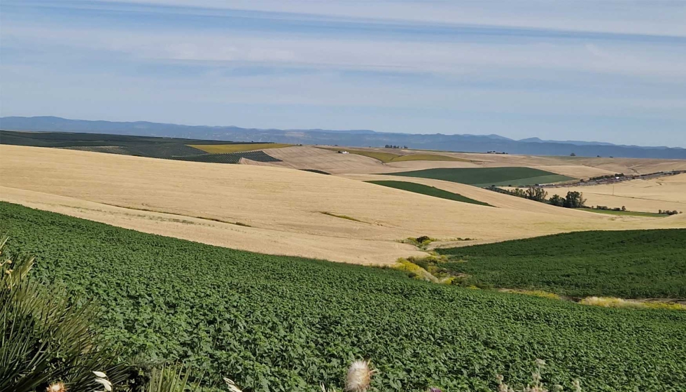 En Espaa son miles las hectreas de cultivos extensivos situadas en secanos frescos que pueden transformarse en cultivos de alto valor como el...