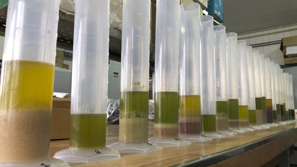 Foto de Nueva tcnica para determinar la estabilidad oxidativa y composicin acdica del aceite de oliva