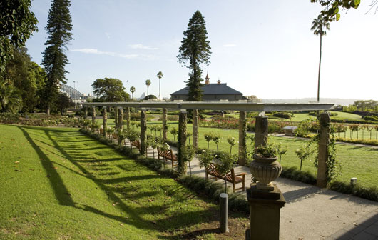 Rose Garden. Foto: Royal Botanic Gardens & Domain Trust, Jaime Plaza