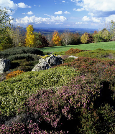 Blue Mountains Botanic Garden. Foto: Royal Botanic Gardens & Domain Trust, Jaime Plaza