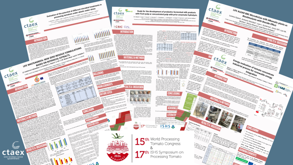 CTAEX investiga soluciones de residuo cero en la produccin del tomate