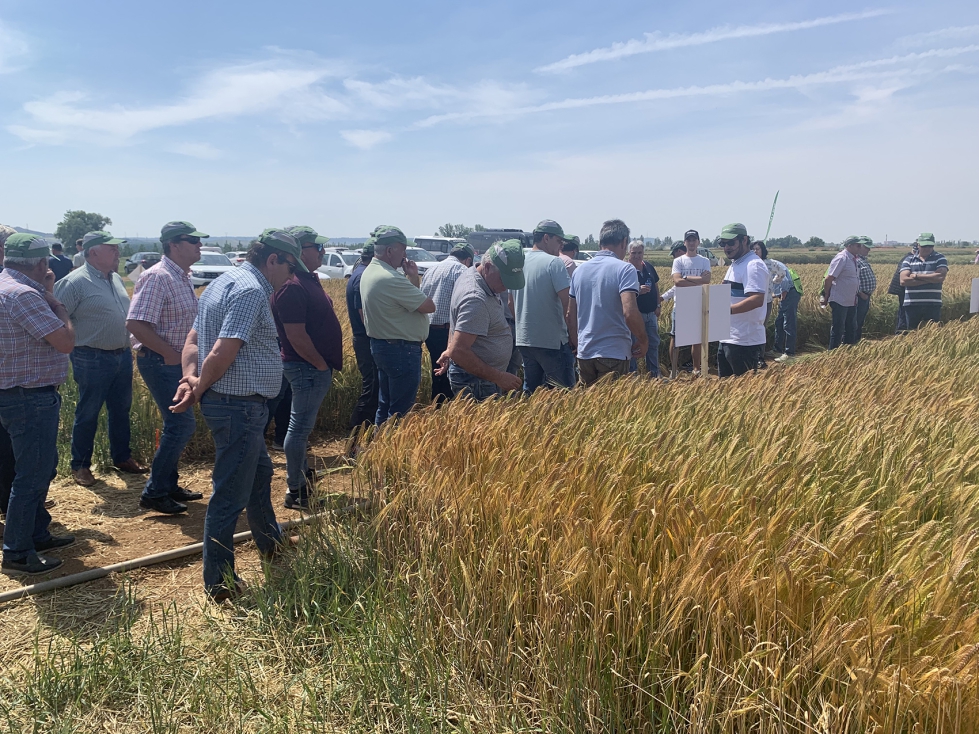 Ms de 300 agricultores acudieron a la finca Zamadueas en Valladolid