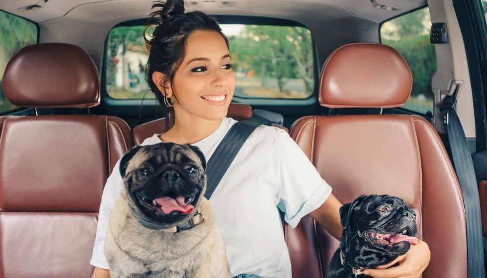 Uber Pet, que permite que los usuarios soliciten viajes acompaados de su mascota, ya llega a Barcelona, Valencia, Zaragoza, Granada...