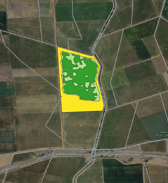 Figura 2. Mapa de prescripcin de abonado, utilizado en parcela comercial, elaborado en base a histrico de imgenes satelitales...