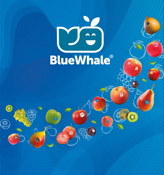 Blue Whale consigue resultados positivos en la campaa de este ao