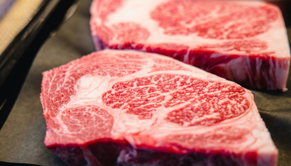 Foto de Productores de carne de vacuno de Francia e Irlanda volvern a exportar a Corea del Sur